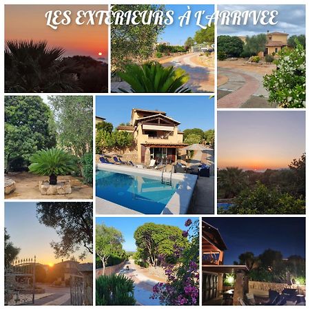 Villa Saba Olbia Extérieur photo