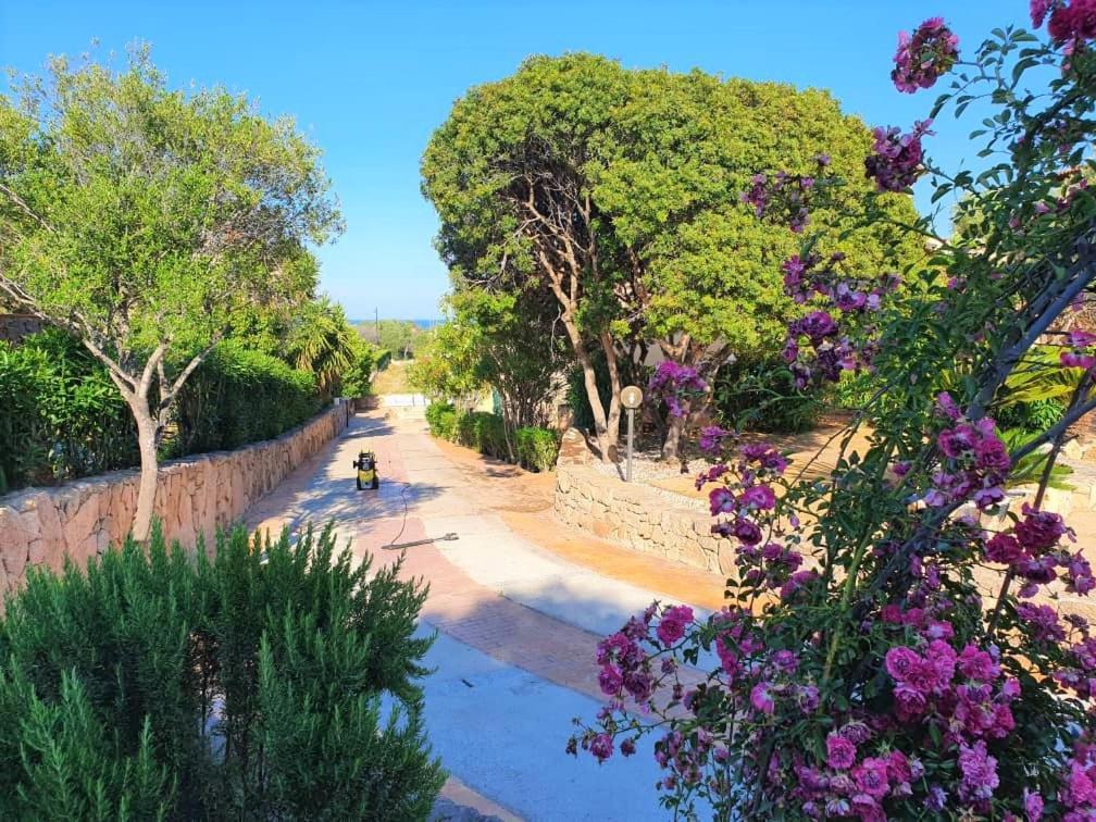 Villa Saba Olbia Extérieur photo