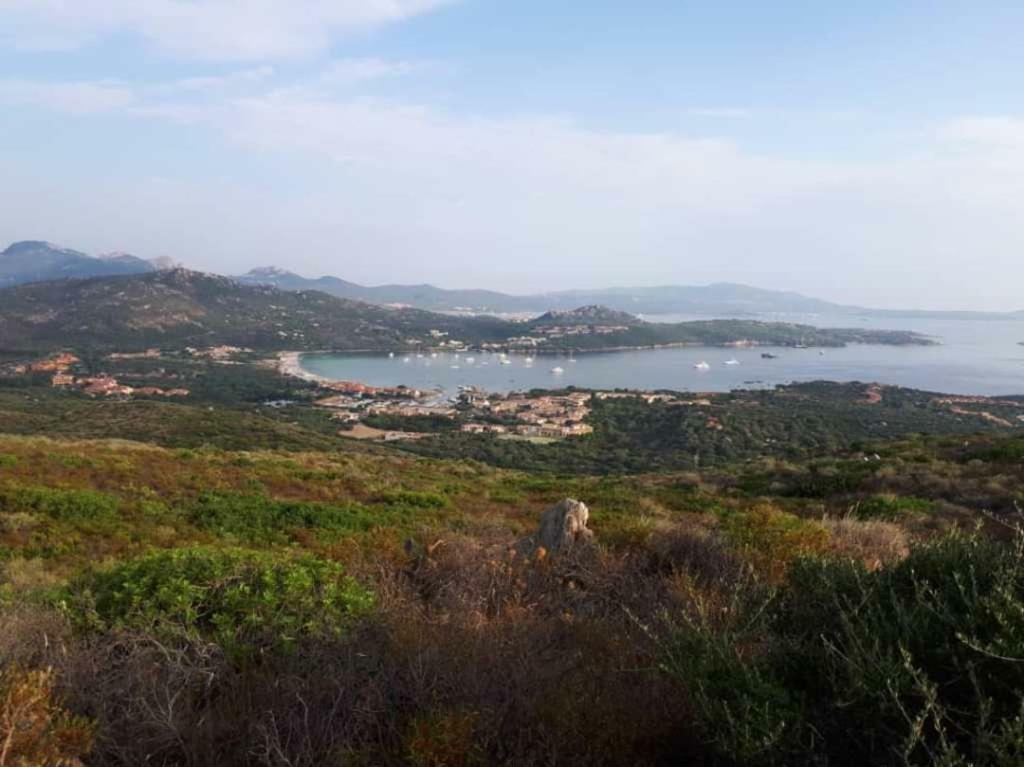 Villa Saba Olbia Extérieur photo