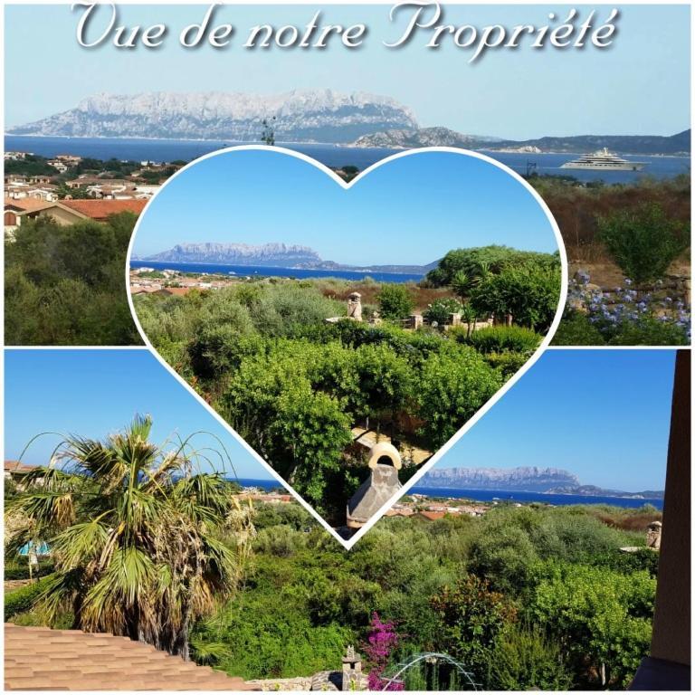 Villa Saba Olbia Extérieur photo
