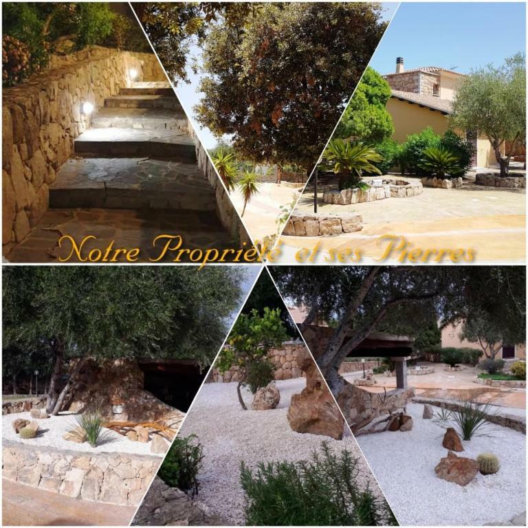 Villa Saba Olbia Extérieur photo